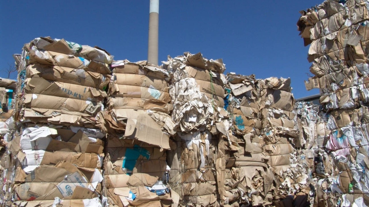 Transforming Waste into Revenue: The Strategic Advantage of Waste Management Solutions